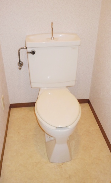 Toilet. It is a reference image of another room