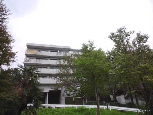 Local appearance photo. Appearance (1)