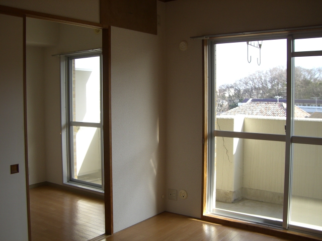 Living and room. Lighting preeminent on the balcony facing south