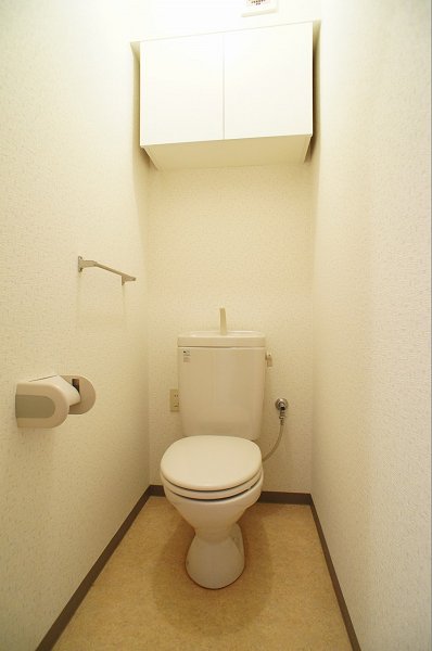 Toilet. Toilet