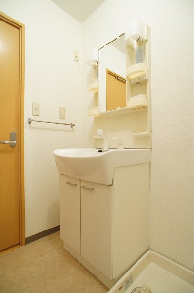 Washroom. You can get ready to ease, even a busy morning in the wash basin shower.