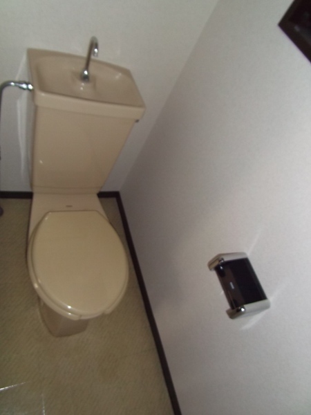 Toilet. Western-style toilet