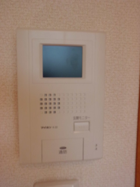 Security. Monitor with intercom