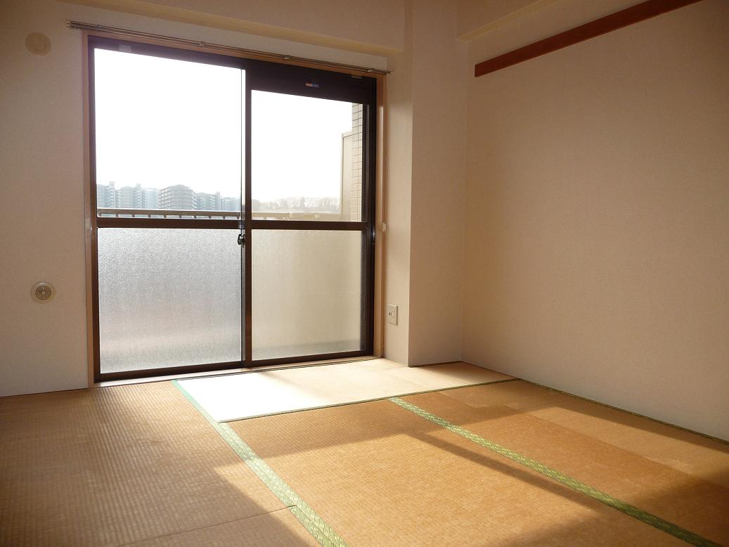 Other room space. Japanese style room