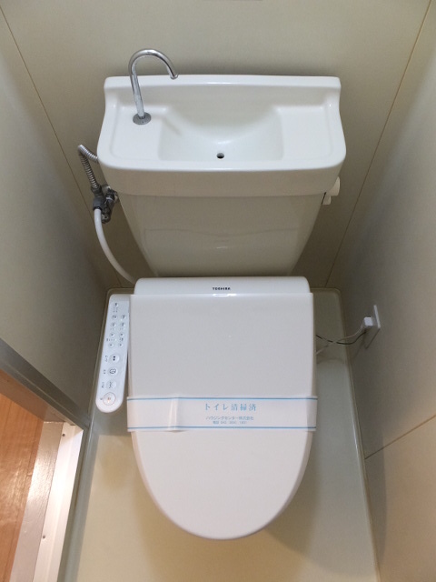 Toilet. With warm water washing toilet seat