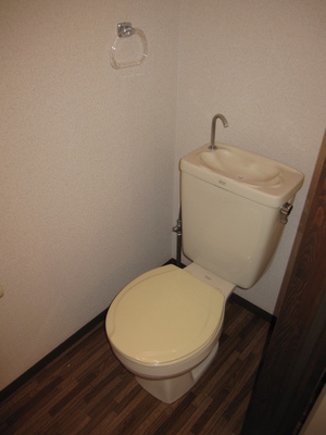 Toilet. The photograph is an image.