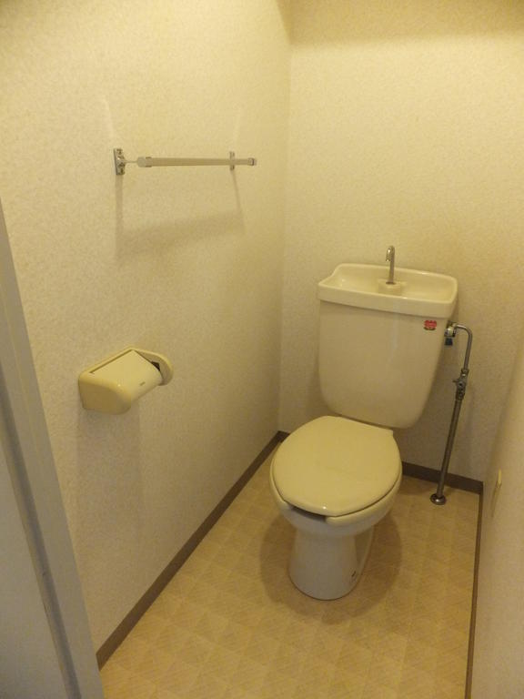 Toilet. Toilet with storage shelves