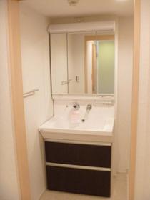 Washroom. Large vanity mirror