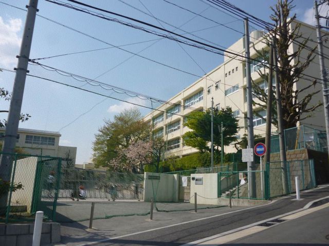 Primary school. Municipal Tana 1000m up to elementary school (elementary school)