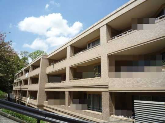 Local appearance photo. Building appearance (1)