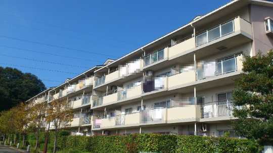 Local appearance photo. Building appearance (1)