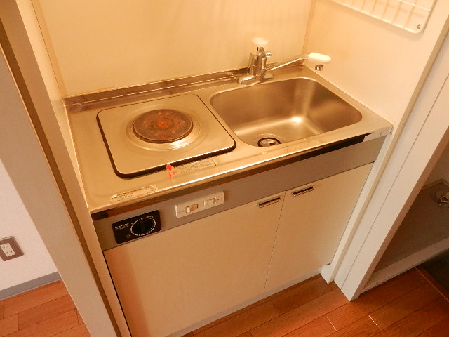 Kitchen. Electrothermal kitchen