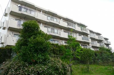 Local appearance photo. appearance