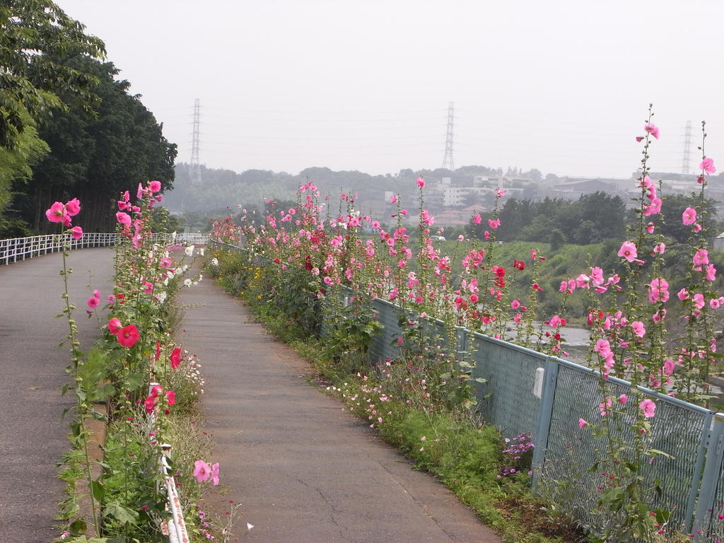 Other. Tsurumi cycle load