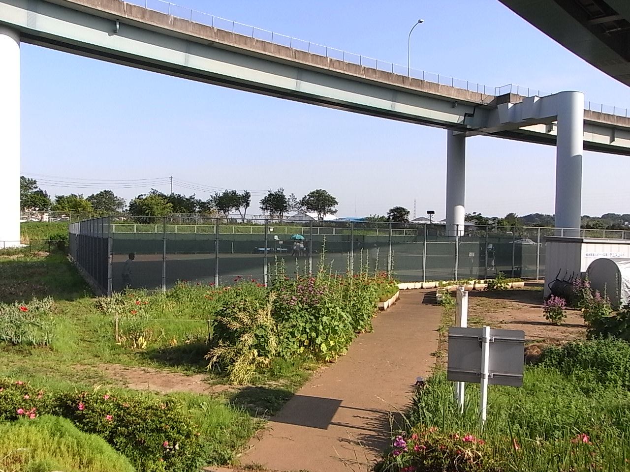 Other. Nearby Tanimoto park, Holiday tennis! 