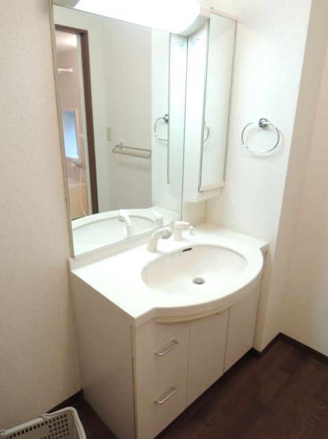 Washroom. Bathroom vanity