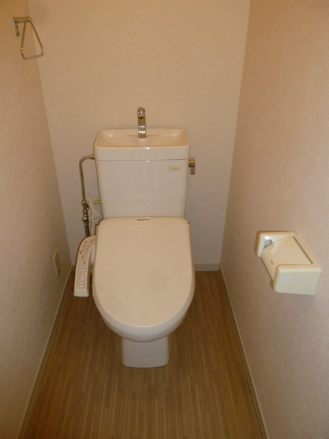 Toilet. With warm water washing toilet seat