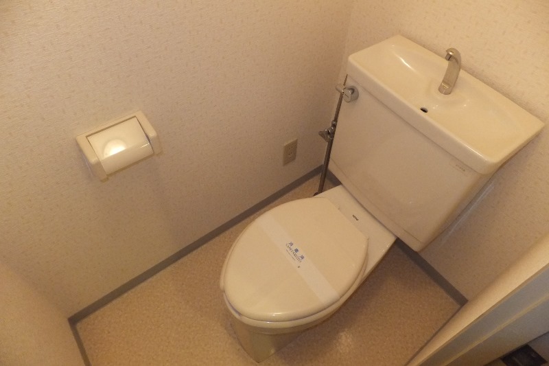 Toilet. Toilet