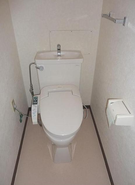 Toilet. It is a reference image of another room