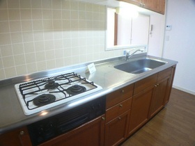 Kitchen. System is a kitchen with a 3-neck gas stove grill