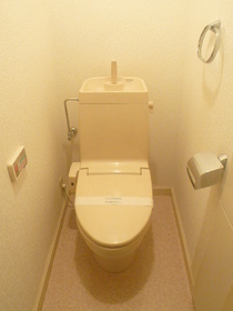 Toilet. It comes with happy Washlet!