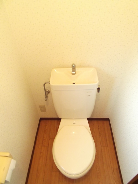 Toilet. Western-style toilet