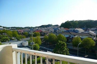 View photos from the dwelling unit. View from the dwelling unit