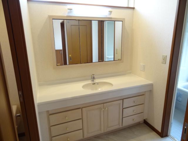 Wash basin, toilet. Bathroom vanity