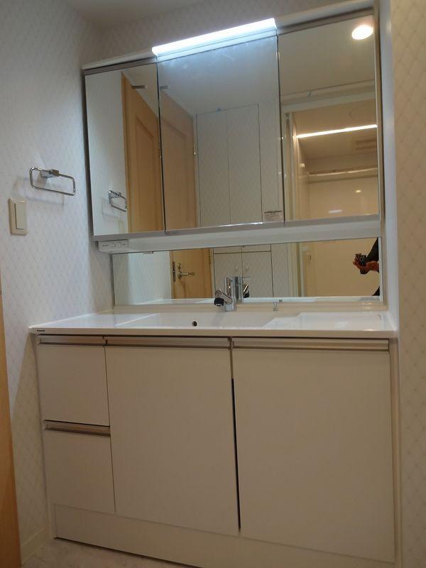 Wash basin, toilet. Bathroom vanity