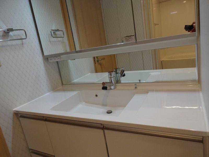 Wash basin, toilet. Bathroom vanity