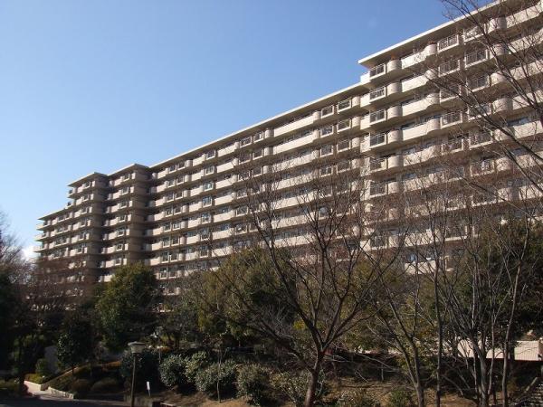 Local appearance photo. Indoor (January 2012) shooting