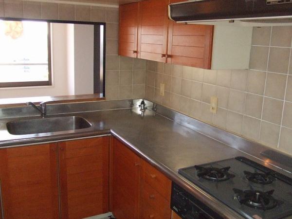 Kitchen. Indoor (January 2012) shooting