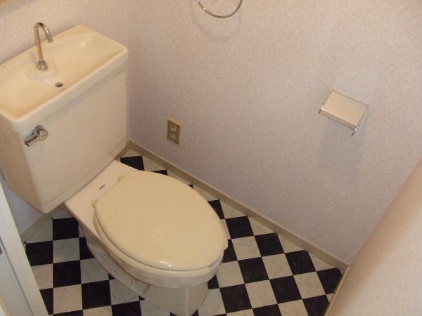 Toilet. Indoor (January 2012) shooting