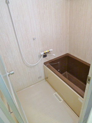 Bath. Tub with add-fired function