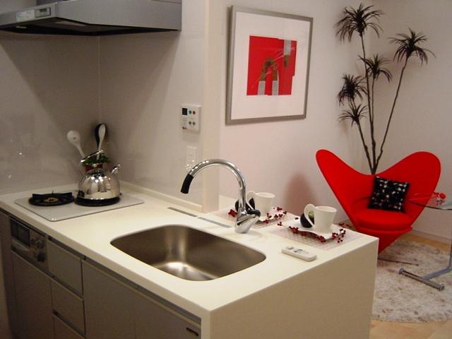 Kitchen. Indoor (October 2010) Shooting