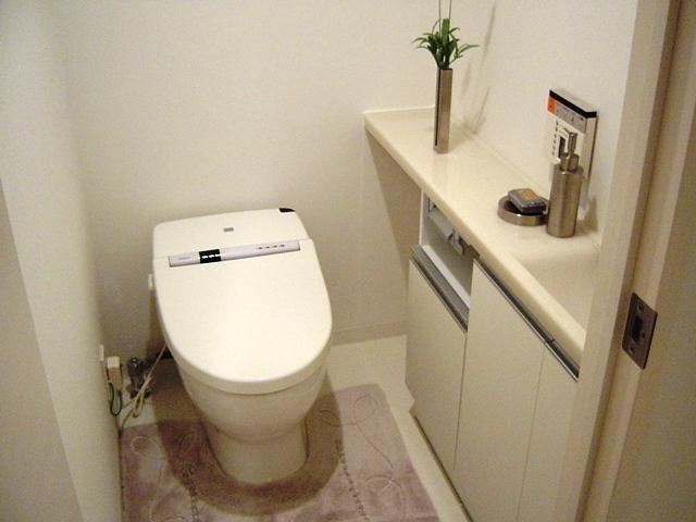 Toilet. Indoor (October 2010) Shooting