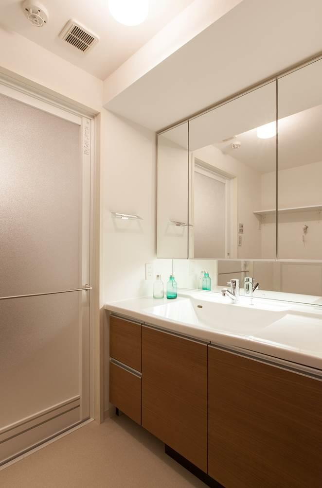 Other Equipment. Standard equipment wash basin newly established ※ Washstand surface material You can choose from nine colors.