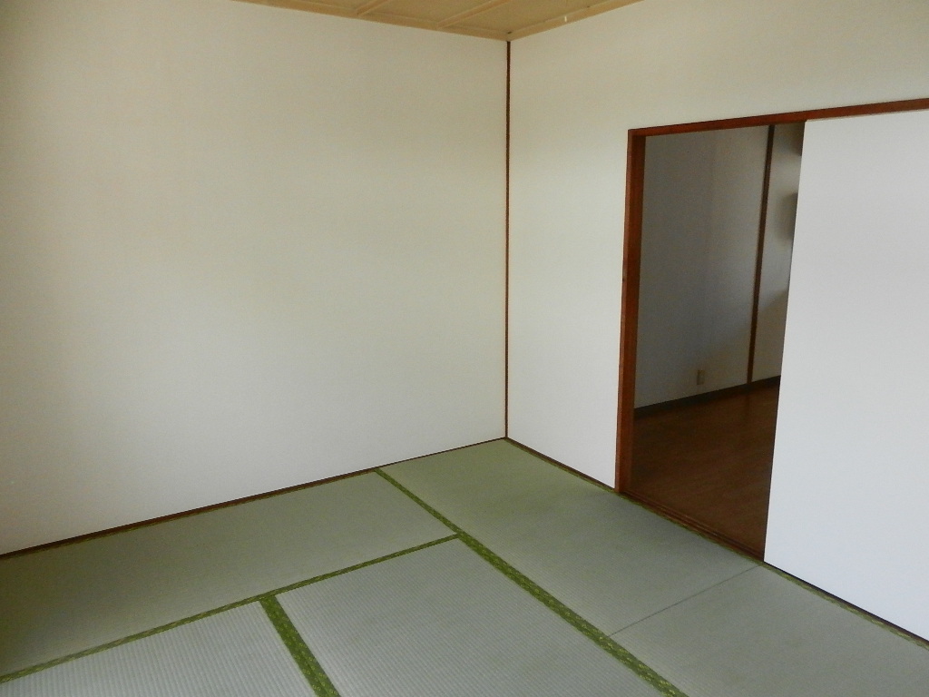 Living and room. Japanese style room