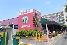 Supermarket. Tsurukame up to 80m