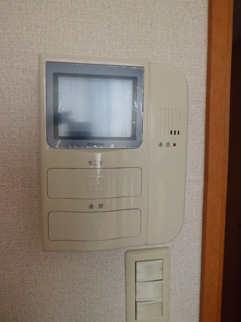 Security. Monitor with intercom