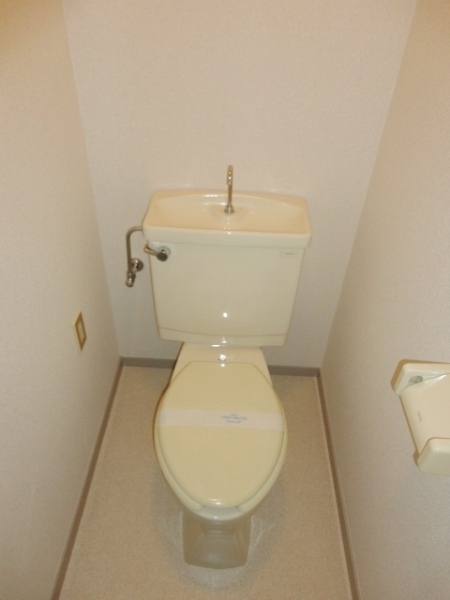 Toilet. Western-style toilet