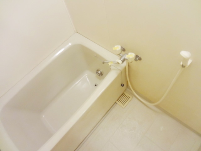 Bath. Spacious bathroom with reheating