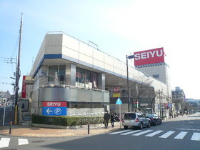 Other. There Seiyu's in front of the station