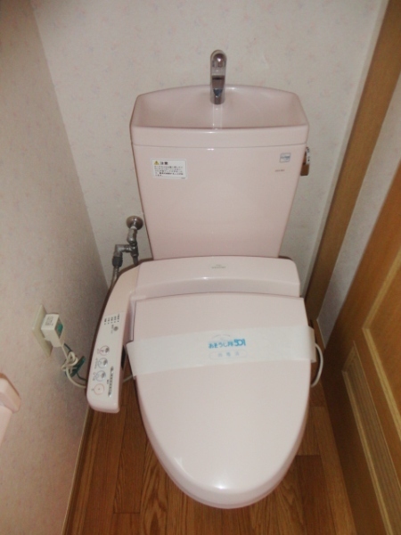 Toilet. Western-style toilet