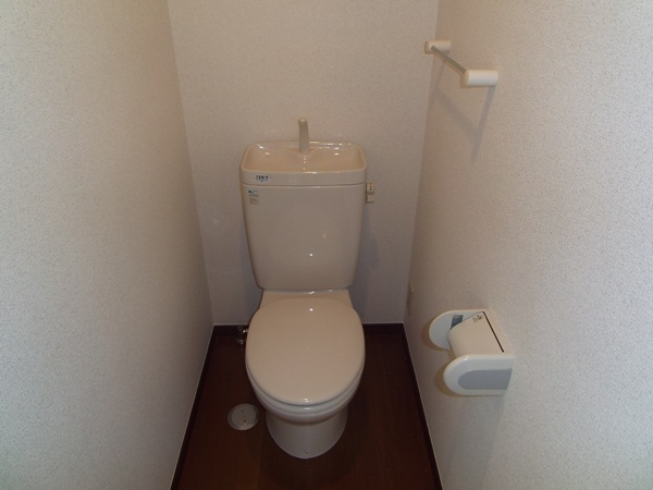 Toilet. Western-style toilet