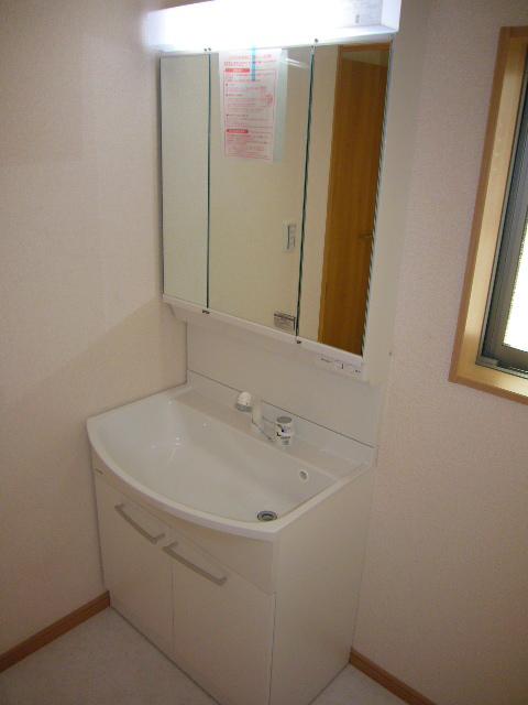Wash basin, toilet. Vanity with hand shower