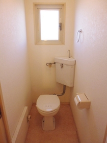 Toilet. Floor plan will be the photo of the reversal of the room.