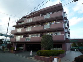 Building appearance