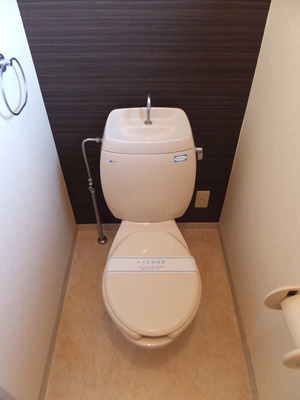 Toilet. Toilet using the accent Cross