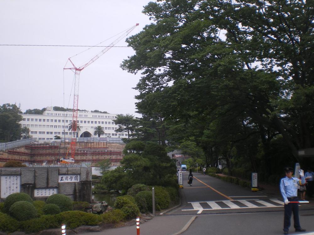 Other Environmental Photo. Tamagawa University campus